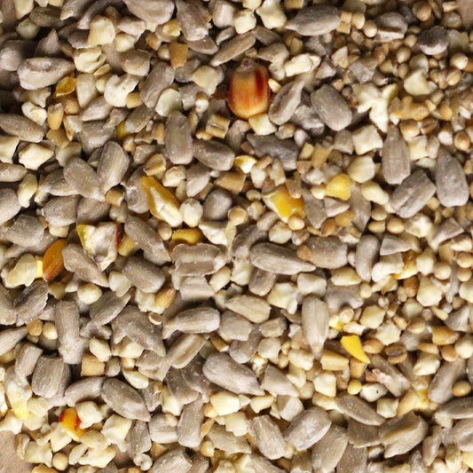 Birdfood LBF Subscribe and Save Wiggly Huskless Feed - Seed That Won't Grow!