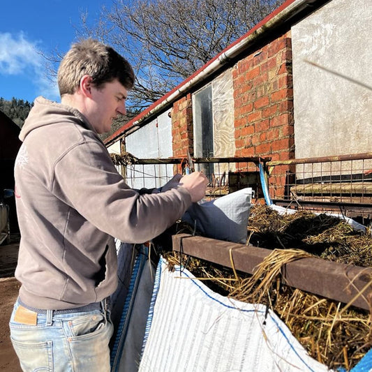 Wormeries Johnson-Su Composting Worms 500g