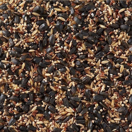 Birdfood LBF Subscribe & Save Farmer Phil's DELUXE British Mix