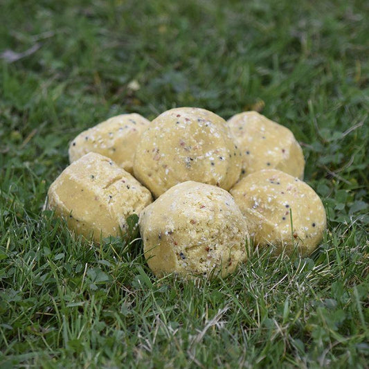 Birdfood British Insect Fatballs