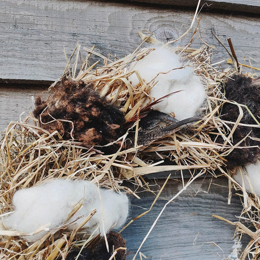 Birdcare Nesting Wreath