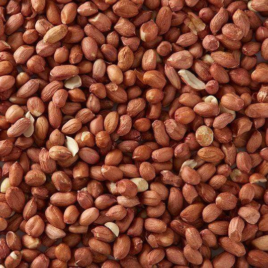 Birdfood LBF Premium Peanuts