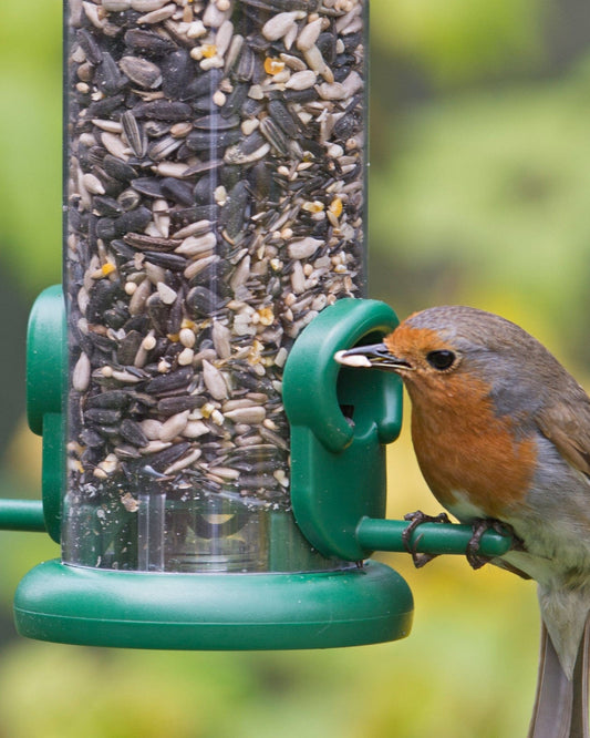 Birdcare The One Feeder - Seed
