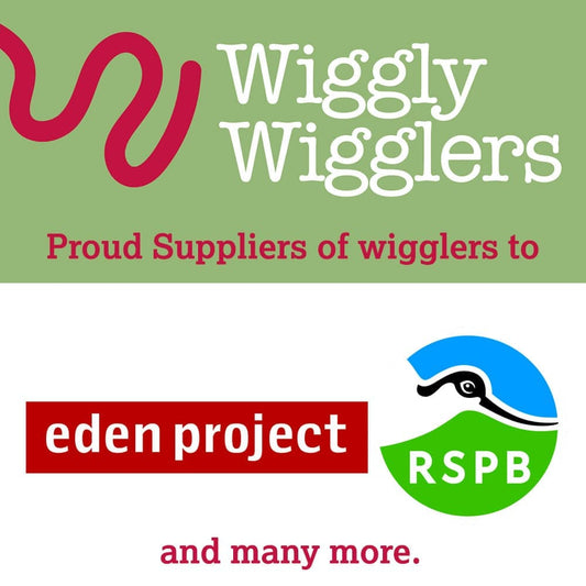 Subscription Products Subscribe and Save LIVE! Mini Mealworms