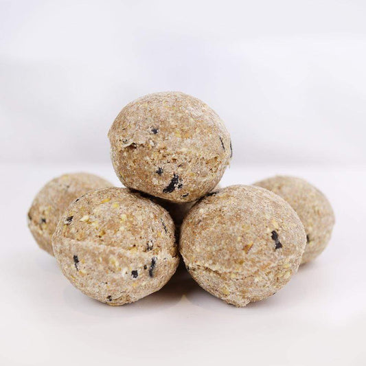 Birdfood 4.5kg British Wheat Fatballs PLUS 2 Free Suet Cakes!