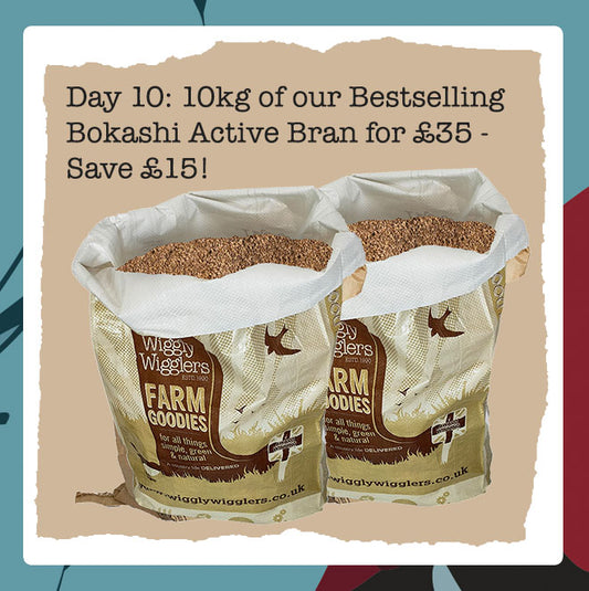 Wiggly Advent Calendar Day 10: 5kg Bokashi Bran for £18!