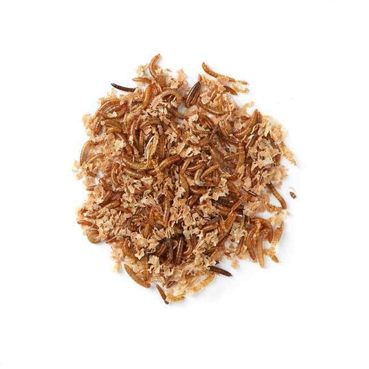 When Would I Feed Mini Mealworms as Opposed to Regular Live Mealworms?