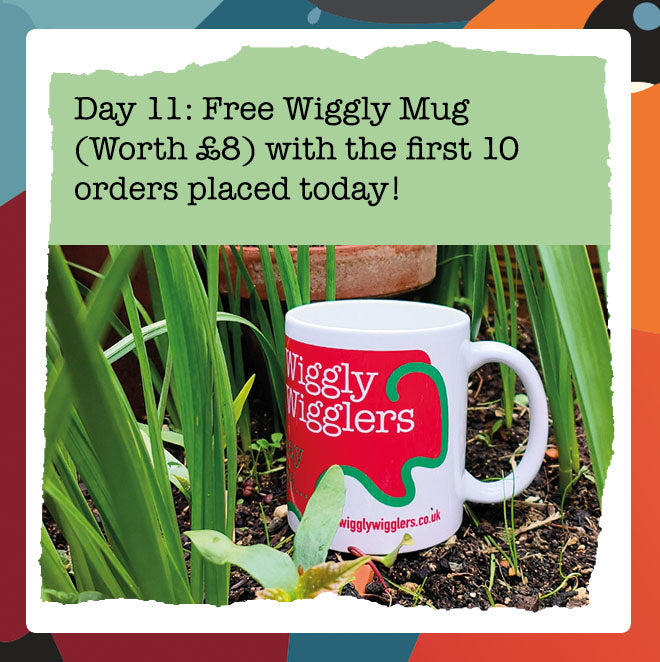 Wiggly Advent Calendar Day 11: A Special Message & Gift from Lydia at Wiggly Wigglers