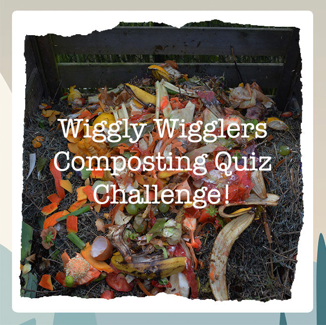 Wiggly Wigglers Composting Quiz Challenge!