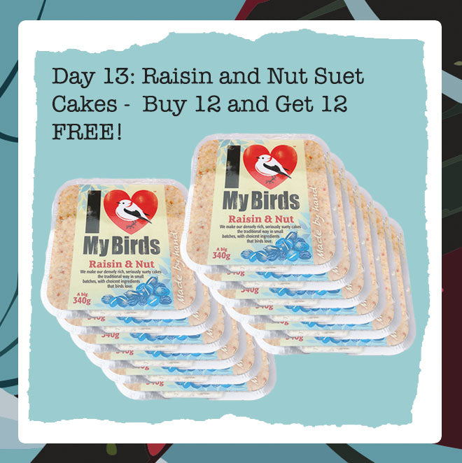 Wiggly Advent Calendar Day 13: Stock Up on Suet Cakes - Buy 12, Get 12 FREE!