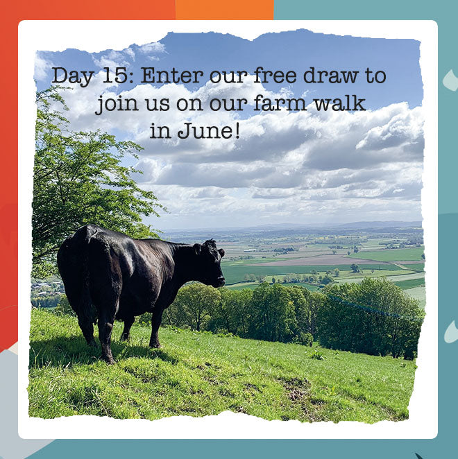 Wiggly Advent Calendar Day 15: Win a Place on our Exclusive Farm Walk with Farmer Phil!