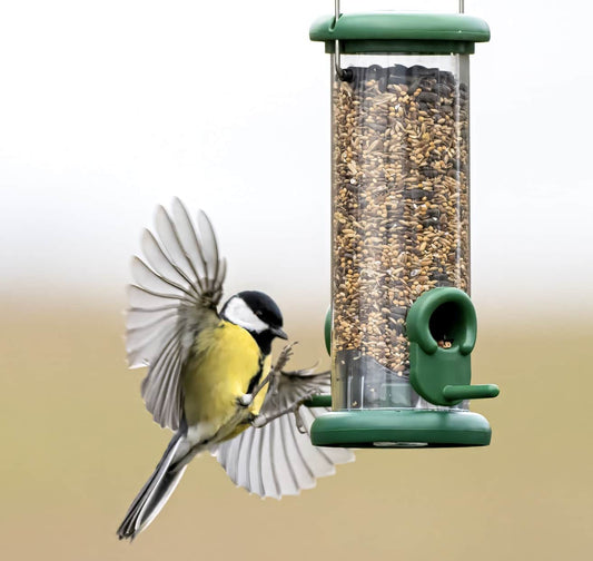 🟢 WIGGLY GUIDE: CLEAN FEEDERS, HEALTHY BIRDS