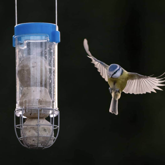 Are We Really Saying “Stop Feeding Birds”?