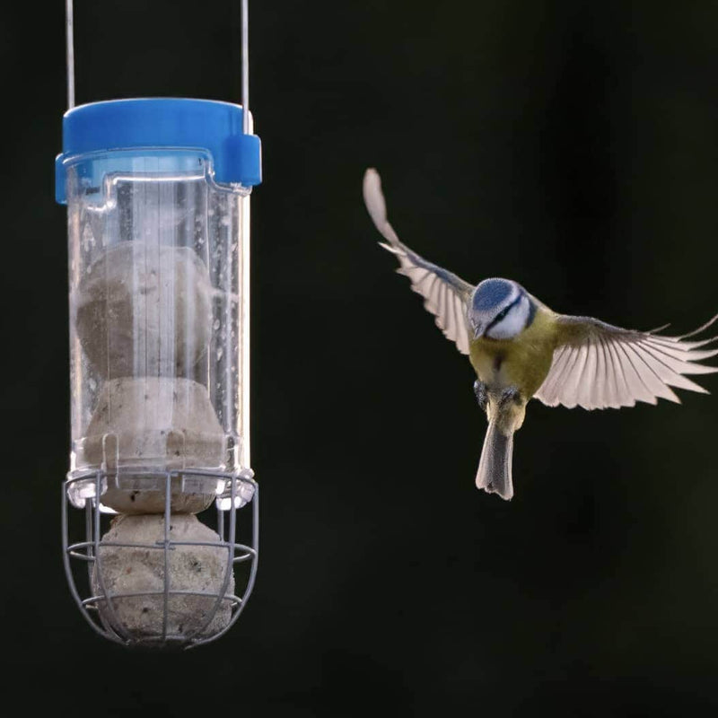 Are We Really Saying “Stop Feeding Birds”?