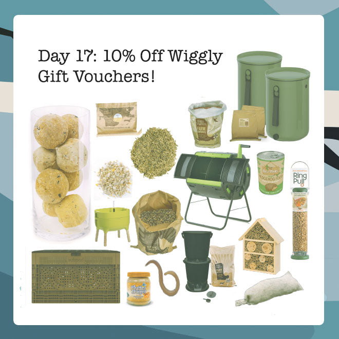 Wiggly Advent Calendar Day 17: Enjoy 10% Off Gift Vouchers – The Perfect Last-Minute Gift!