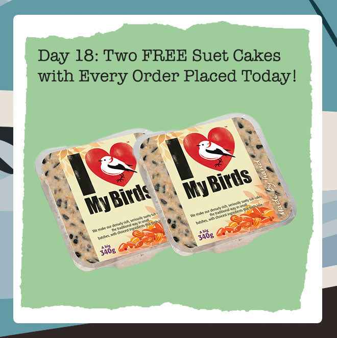 Wiggly Advent Calendar Day 18: FREE I Love Birds Suet Cakes (worth £6) with Every Order Today!
