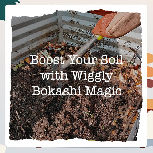 How Bokashi Composting Can Benefit Your Garden Soil: The Science Behind It
