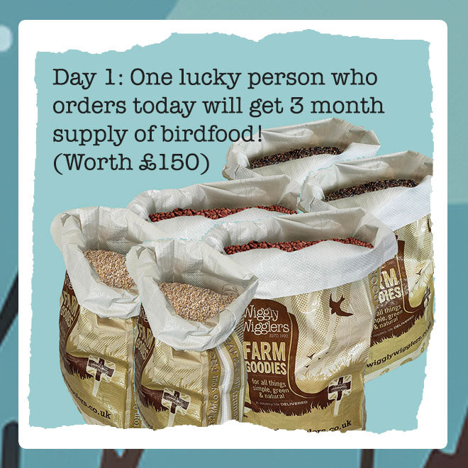 Wiggly Advent Calendar Day 1: Win £150 of Birdfood!
