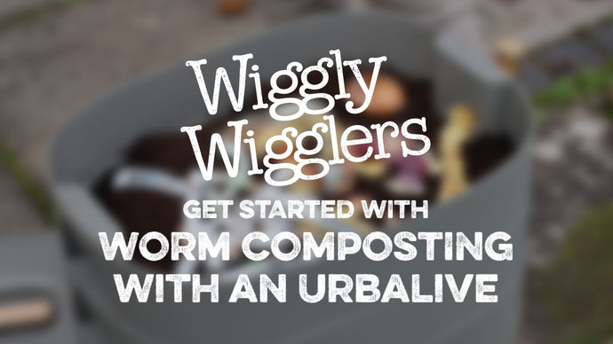 How to Get Started with Worm Composting