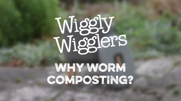 WW Video: Why Worm Composting?