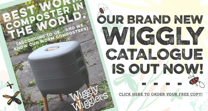 Introducing our NEW Wiggly Catalogue!