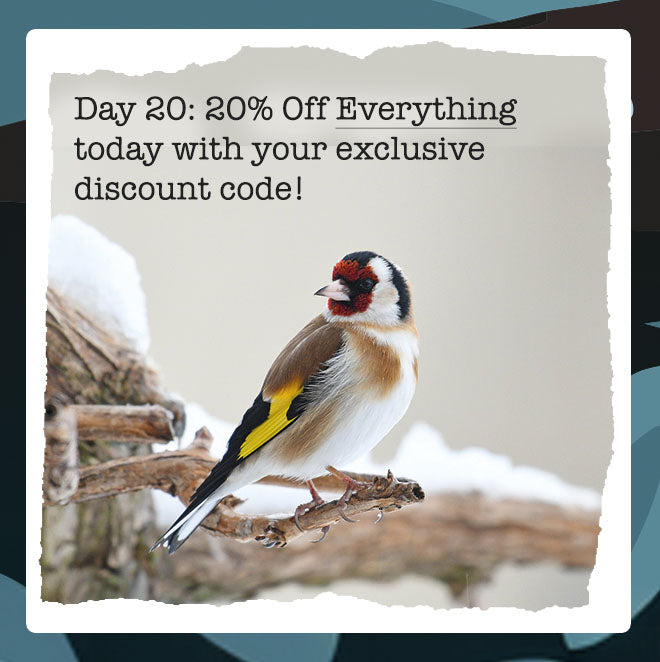 Wiggly Advent Calendar Day 20: 20% Off Everything at Wiggly Wigglers – Today Only! LAST CHRISTMAS SHIPPING DAY