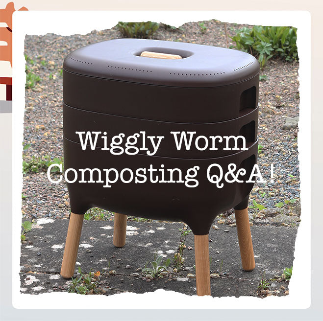 Top Wormery FAQs: Essential Tips for Successful Worm Composting