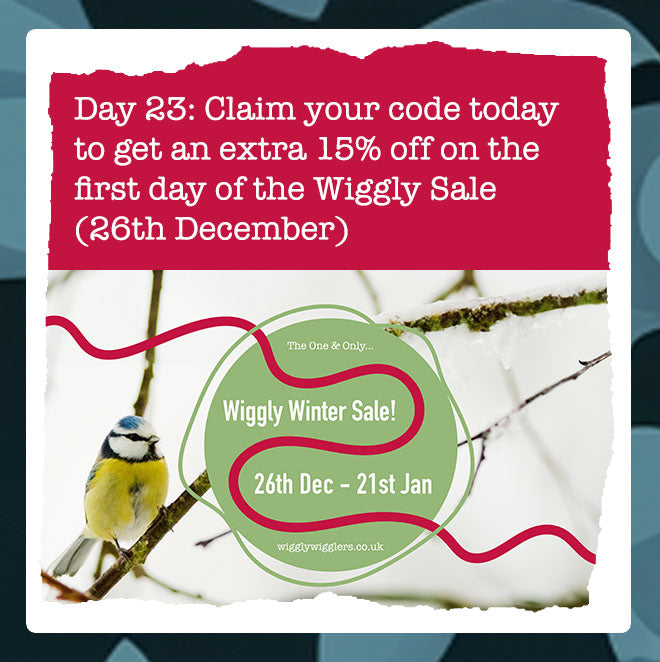 Wiggly Advent Calendar Day 23: Exclusive 15% Off Code for Our Wiggly Sale on 26th December!