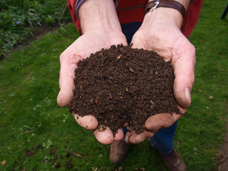 Using your Worm Compost: as a Compost