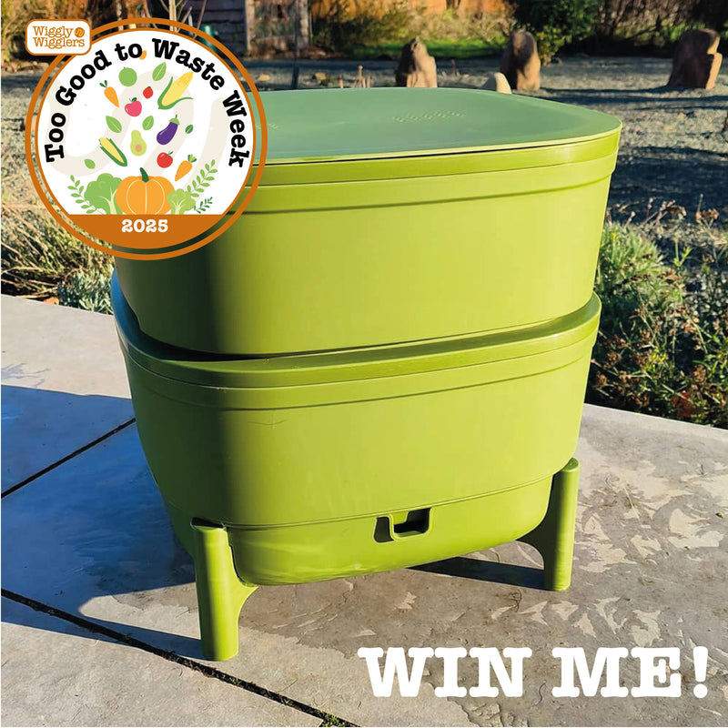 🎉 Win a Compact Worm Farm Kit Worth £112 – Start Composting from Your Kitchen Today