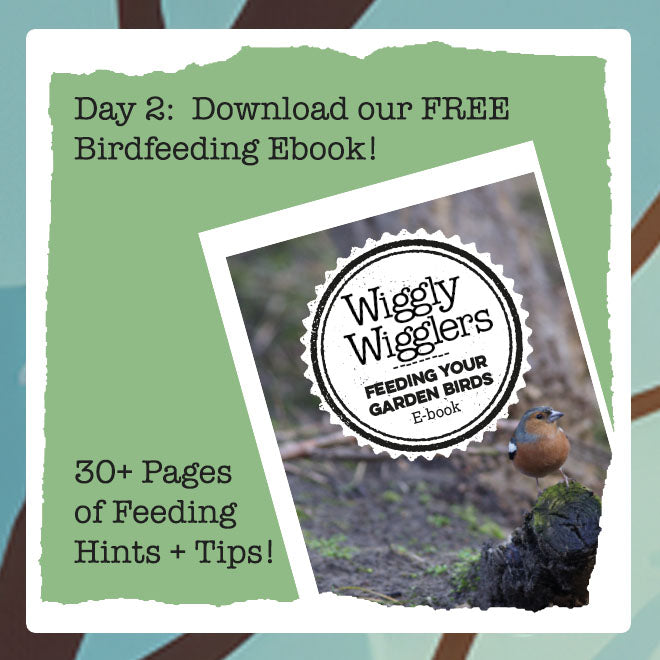 Wiggly Advent Calendar Day 2: Free Birdfeeding Ebook Download!