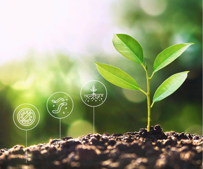 Advantages of composting with Bokashi Organko