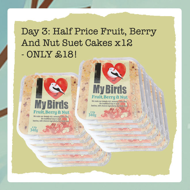 Wiggly Advent Calendar Day 3: Half Price Fruity Suet Cakes!