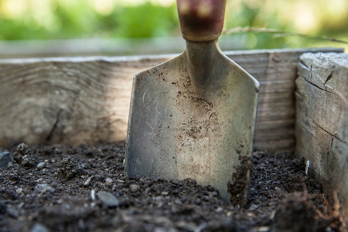 January in your Garden