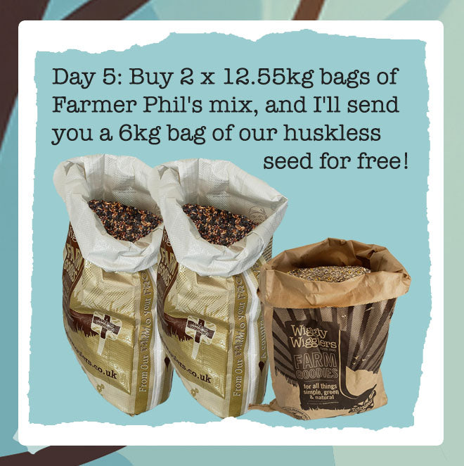 Wiggly Advent Calendar Day 5: Special Bird Food Treat direct from Farmer Phil!