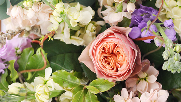 It's not long until Easter (12th April 2020) - Why not order some of our Seasonal Blooms for your loved one?