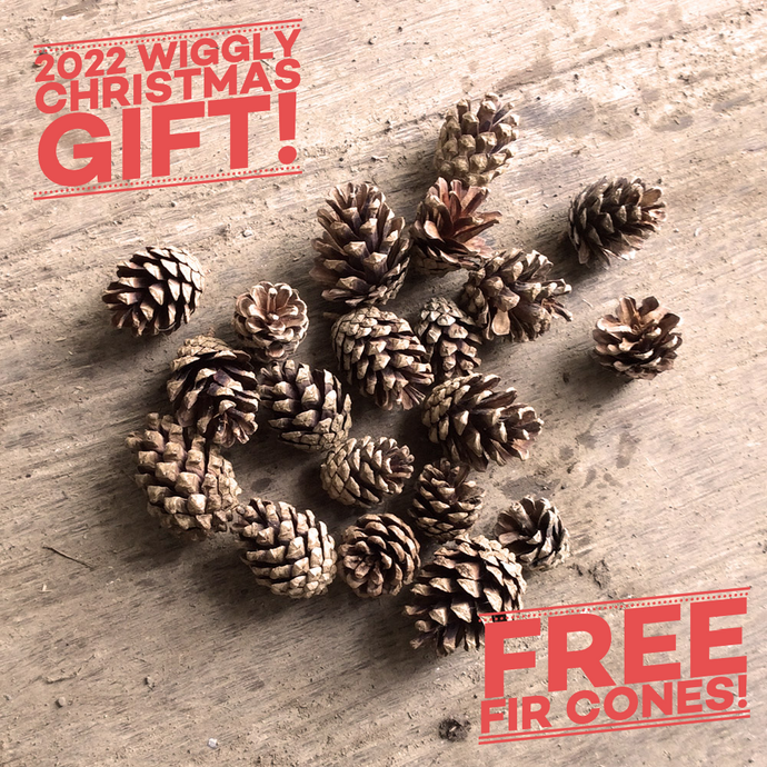 Don't forget our Cracking Fir Cone Freebie!