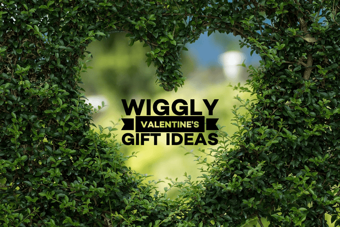 Wiggly Valentine's Gift Ideas + our LOVE BIRDFEEDING Bundle!