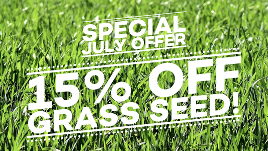 Grass Seed: The Eco-Friendly Choice for a Green Lawn