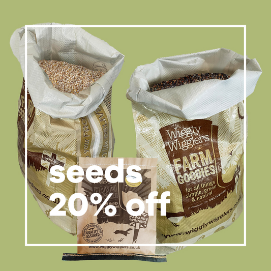 How's this for a cracking birdfood bundle?