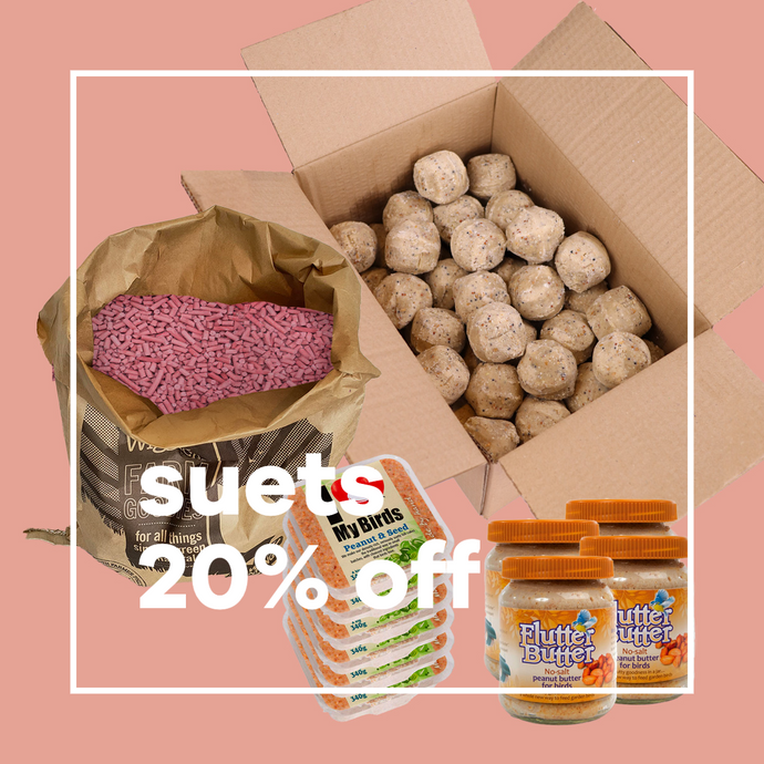 Super Suet Savings - Perfect for stocking up for Winter!