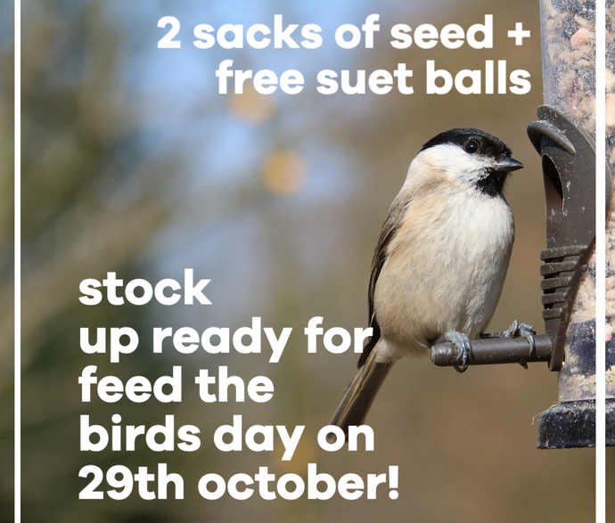 Two big bags of our Bestselling Wiggly Seed Extra PLUS 50 FREE Maize Suet Balls (Worth £15)