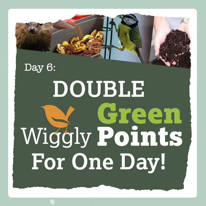 Wiggly Advent Calendar Day 6: Double Green Points for One Day!