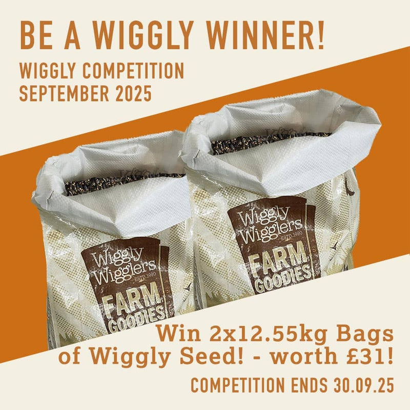 WIN WITH WIGGLY - September 25 - win 2x12.55kg Bags of Wiggly Seed - worth £31!