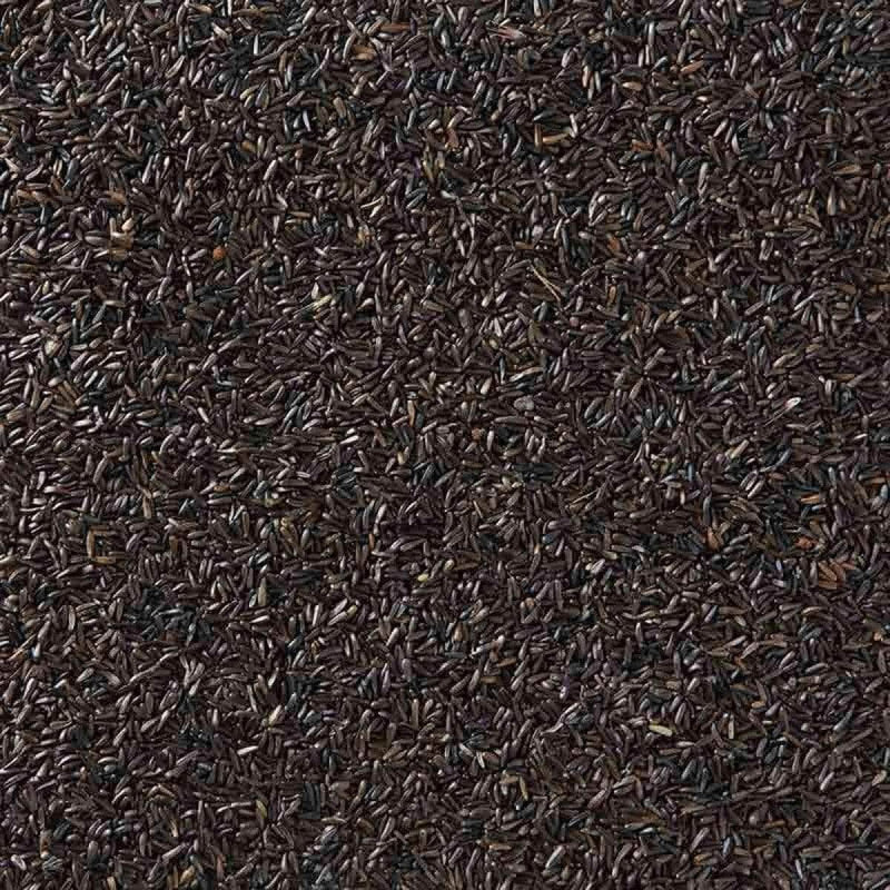 🐦 Niger Seed FAQ – What Every Garden Birder Should Know