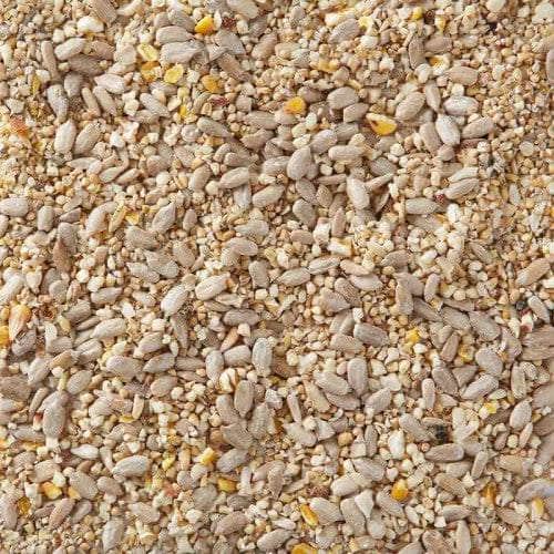 Use Our Huskless Mix for No-Mess Birdfeeding!