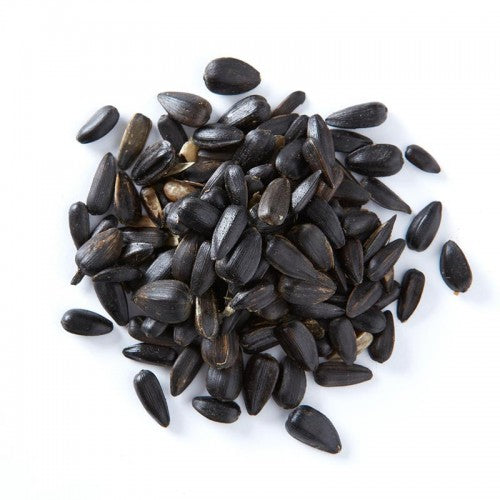 10 Reasons why you should buy your Birdfood from Wiggly Wigglers