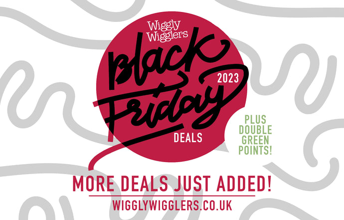 More BLACK FRIDAY DEALS Just Added!