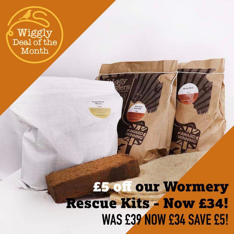 Our Deal of the Month APRIL 2026 - £5 off our Wormery Rescue Kits - Now £34!