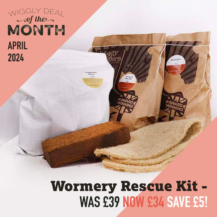 Our Deal of the Month April 2024 - £5 off our Wormery Rescue Kit - USUALLY £39 - NOW £34!